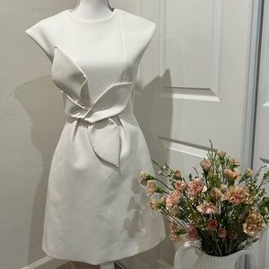 Ted baker bride dress